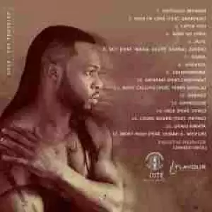 Ijele The Traveller BY Flavour